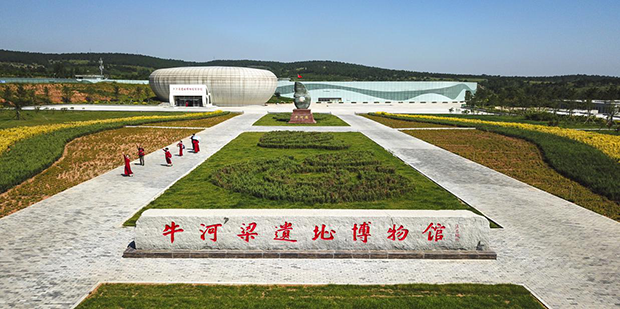 image007.png image007.png