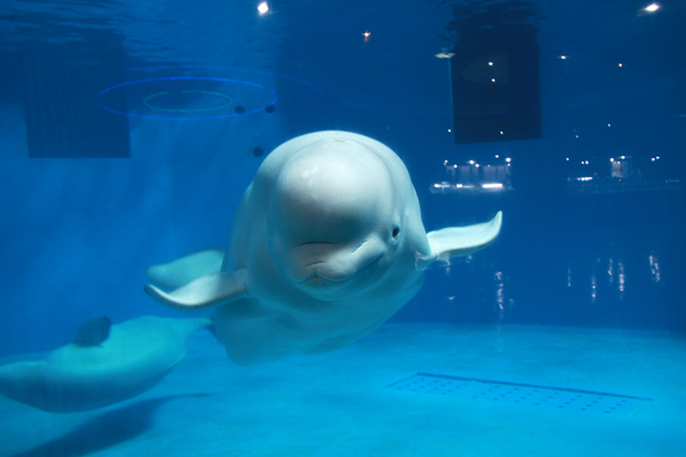 image039.jpg image039.jpg