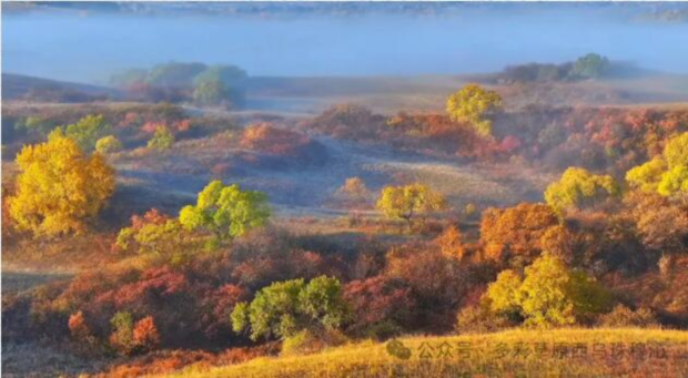 QQ截图20240923110920 (2).jpg QQ截图20240923110920 (2).jpg